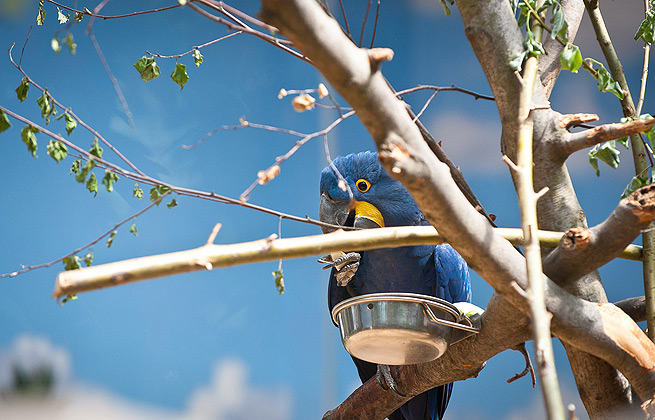 在线电话轰炸工具